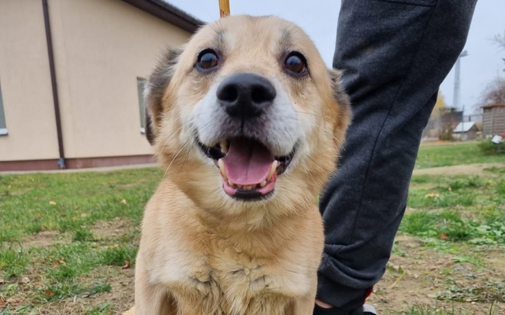 Zbiórka Pomóżmy Gilbertowi - zdjęcie główne