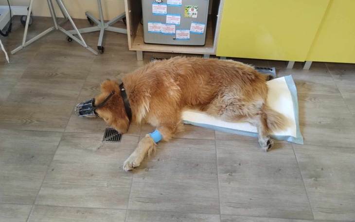 Zbiórka Być albo nie być Atosa - zdjęcie główne