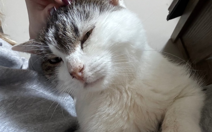 Zbiórka Zbiórka na leczenie Chrypki - zdjęcie główne