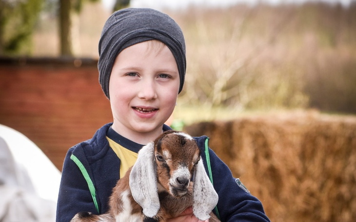 Zbiórka Ranczo potrzebuje wsparcia - zdjęcie główne