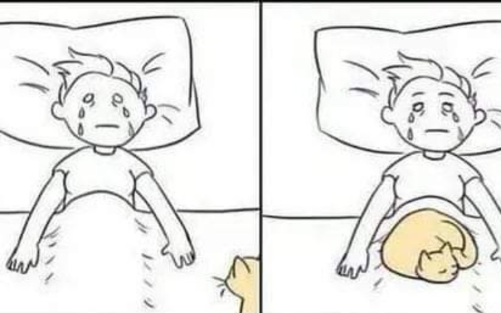 Zbiórka Wygrać z chorobą duszy - zdjęcie główne