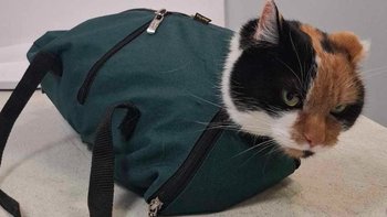 Zbiórka Plamka, która straciła człowieka - miniaturka zdjęcia