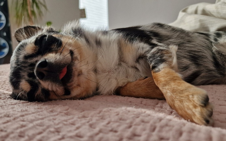 Zbiórka Diagnostyka i badania małej Sali - zdjęcie główne