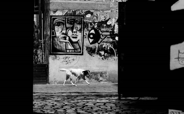 Zbiórka Spelnić swoje marzenia - zdjęcie główne