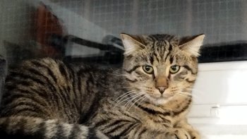 Zbiórka Bolące ząbki - miniaturka zdjęcia