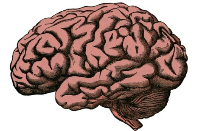 Zbiórka Na mózg dla Janusza - zdjęcie główne