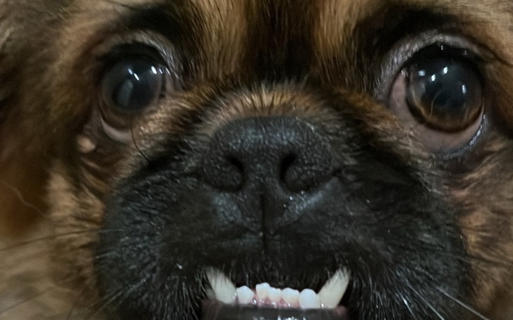 Zbiórka korekta laserowa nosa - zdjęcie główne