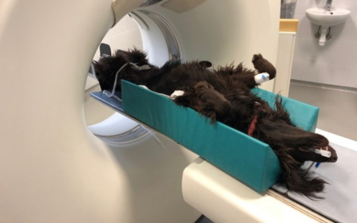 Zbiórka Pokochaj mnie taką, jaka jestem - zdjęcie główne