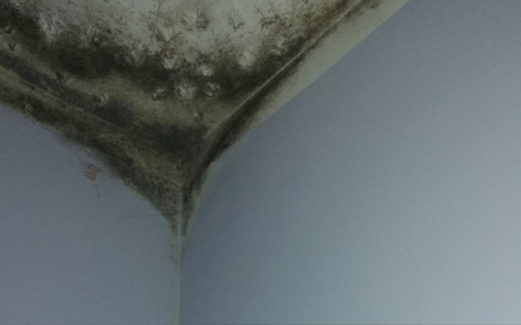 Zbiórka Na remont pokojó Nikoli - zdjęcie główne