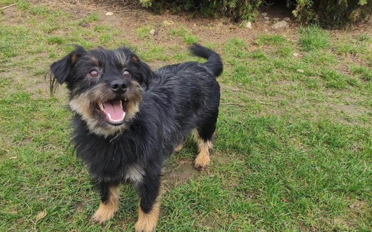 Zbiórka Operacja rzepki kolanowej - zdjęcie główne