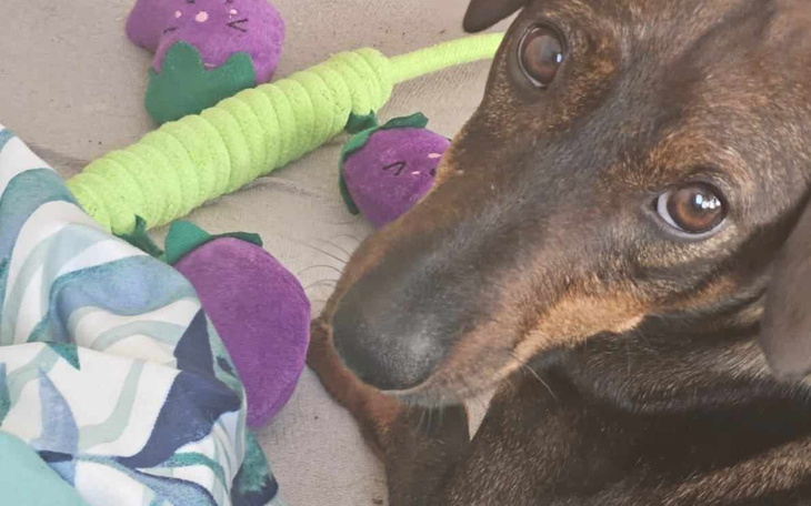 Zbiórka Endoskopia Huga ratująca życie - zdjęcie główne