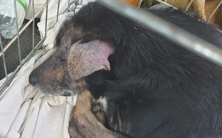 Zbiórka Czy starość oznacza cierpienie - zdjęcie główne