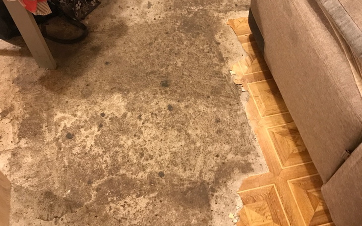 Zbiórka Prosiłabym o pomoc - zdjęcie główne