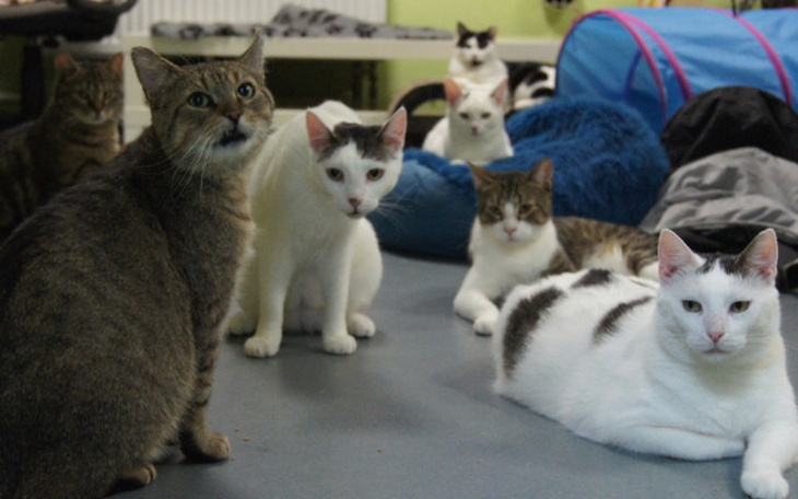 Zbiórka Mruczarnia – marzec - zdjęcie główne