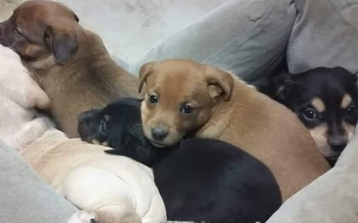 Zbiórka Transport dla maluchów z betonu - zdjęcie główne