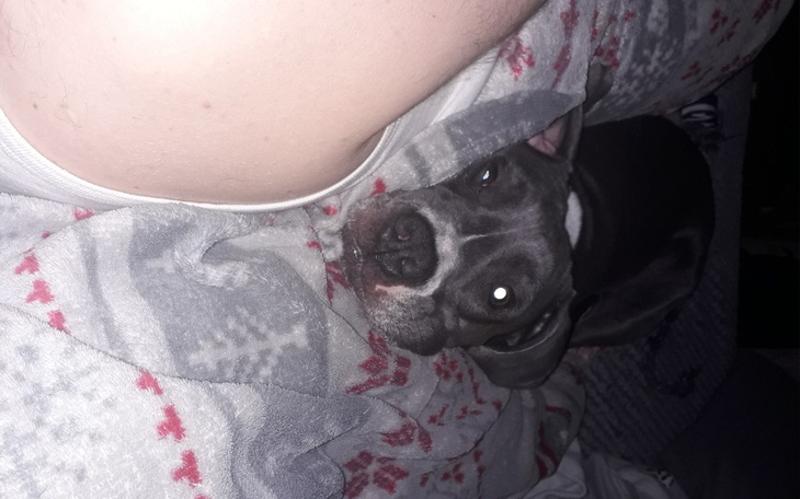 Zbiórka Moje jedzonko - zdjęcie główne