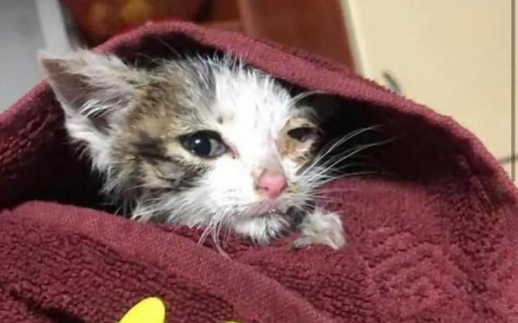 Zbiórka Krzyk o pomoc.Na zapłatę długów - zdjęcie główne