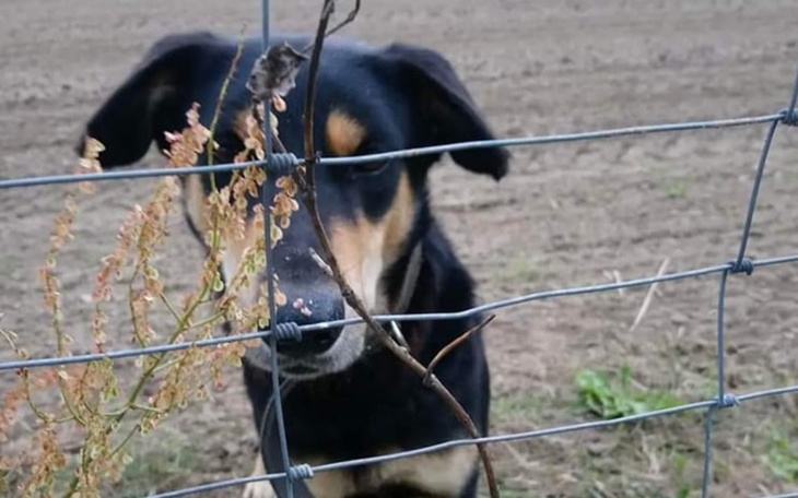 Zbiórka Transport do Warszawy - zdjęcie główne