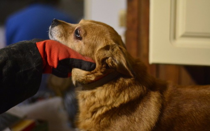 Zbiórka Zimowe ciepło dla Harbutowic - zdjęcie główne