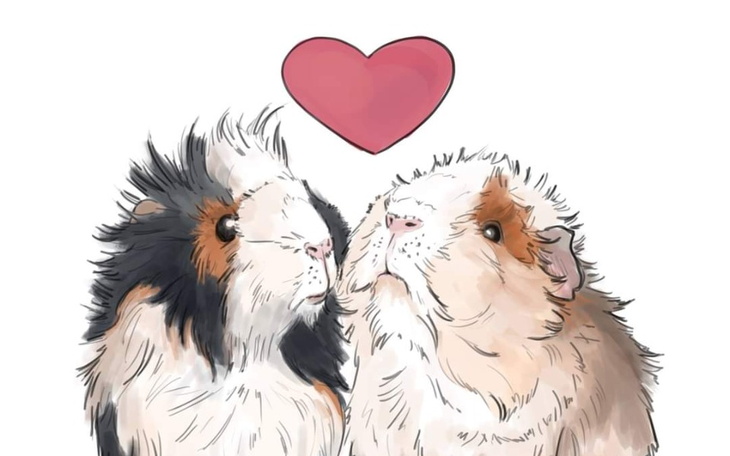 Zbiórka Walentynkowa zbiórka VG - zdjęcie główne