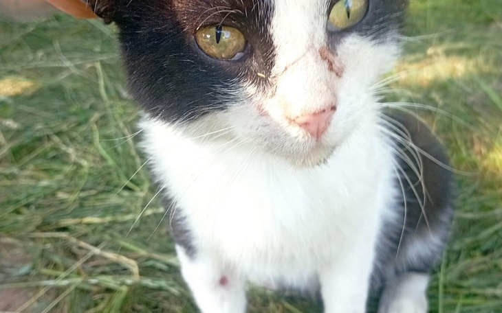 Zbiórka Na biedaka z przystani - zdjęcie główne