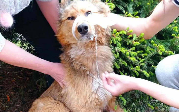 Zbiórka Pomagam, więc ratuję im życie - zdjęcie główne