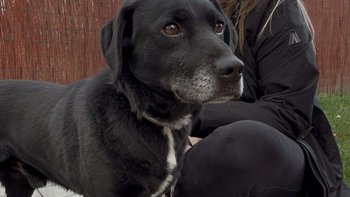 Zbiórka Dla Maksa - miniaturka zdjęcia