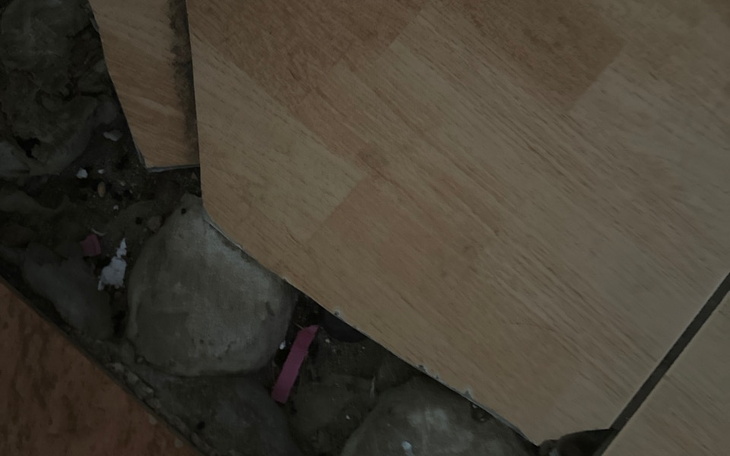 Zbiórka Na remont Domu dla siebie i mamy - zdjęcie główne