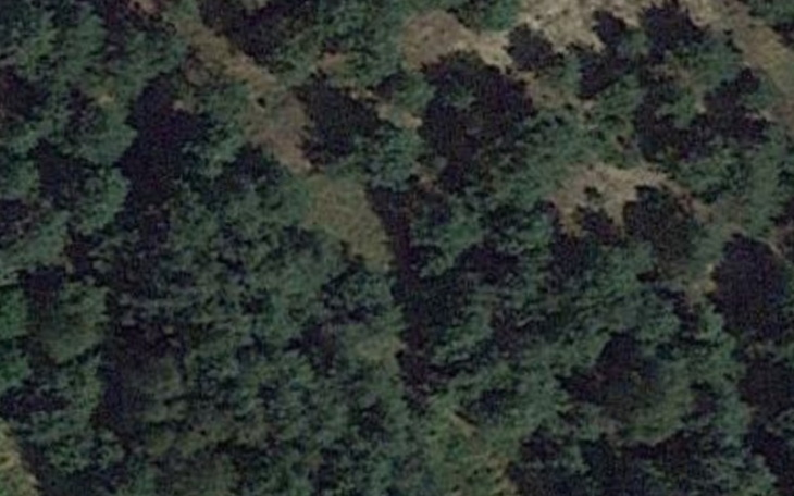 Zbiórka Mały domek w lesie - zdjęcie główne