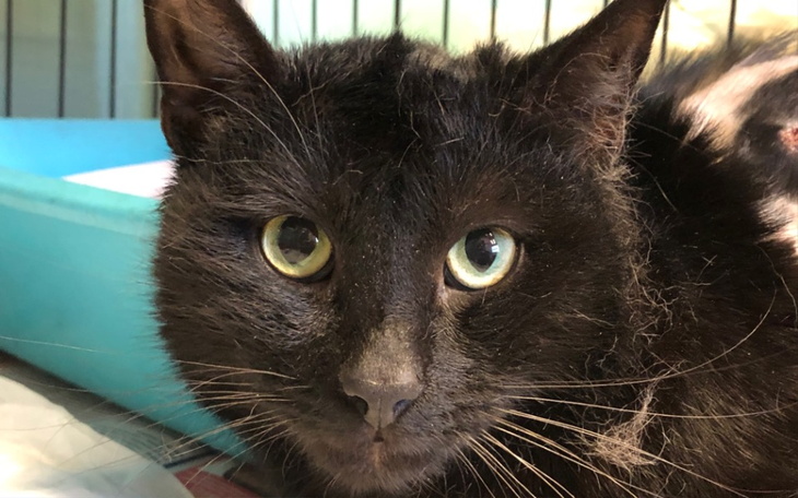 Zbiórka Transport Mechanika - zdjęcie główne