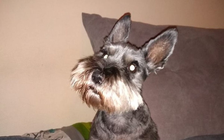 Zbiórka Na leczenie INES - zdjęcie główne