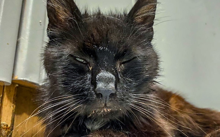 Zbiórka Chlebek - żywy szkielet - zdjęcie główne