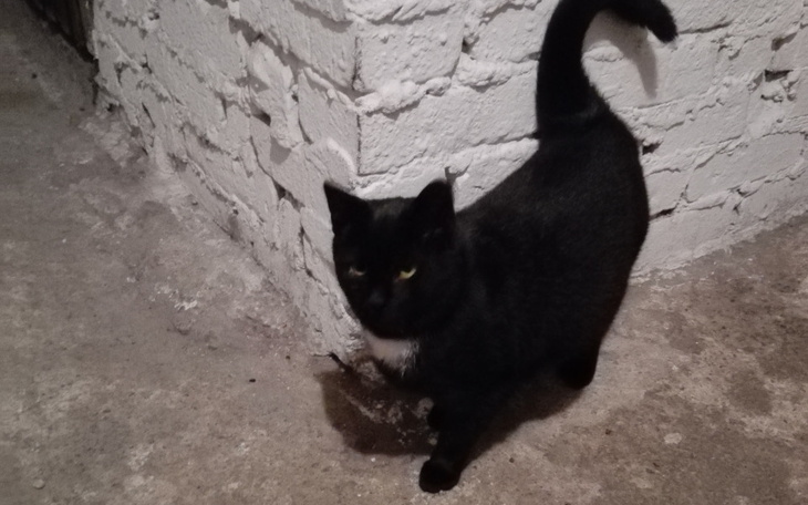 Zbiórka Nosek - zdjęcie główne