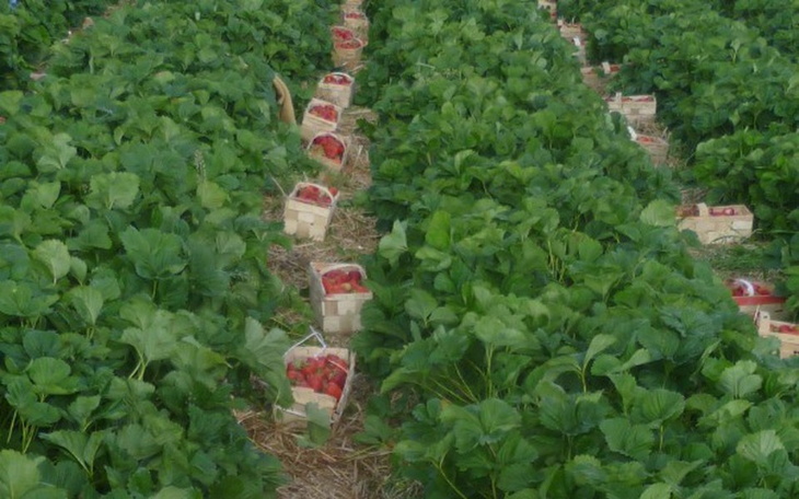 Zbiórka Mój własny kąt - zdjęcie główne