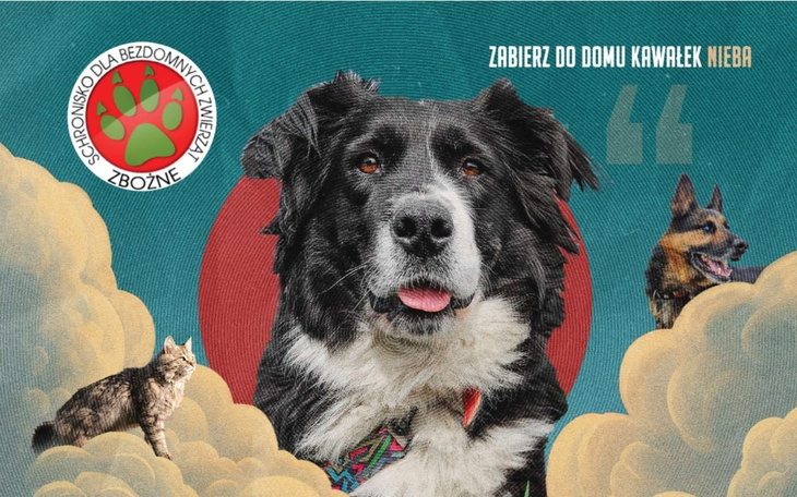 Plakat schroniska dla zwierząt z psem i kotem w chmurach.