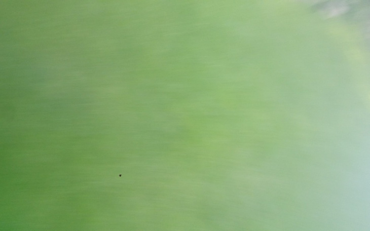 Zbiórka Dawid - zdjęcie główne