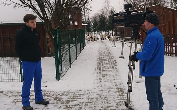 Zbiórka Pomoc Bocianom - zdjęcie główne
