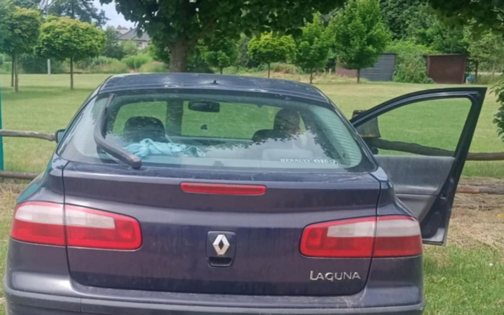 Samochód Renault Laguna zaparkowany na zielonej łące.