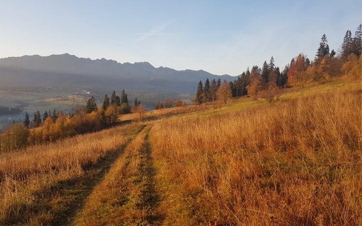 Zbiórka Niespełnione marzenie Mariusza - zdjęcie główne