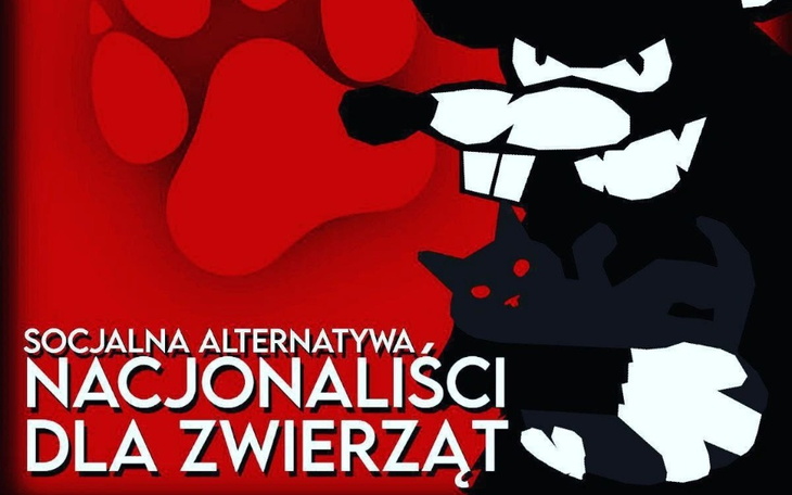 Kreatywna grafika promująca pomoc dla zwierząt.