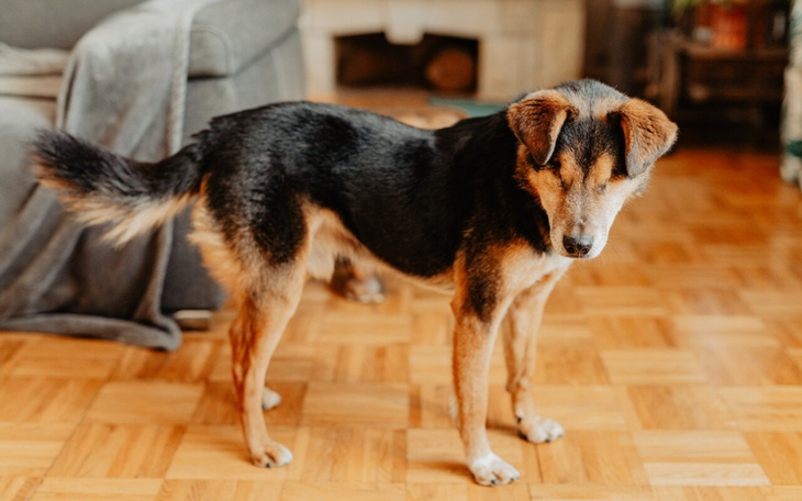 Osoba na przystanku z walizką i torbą.