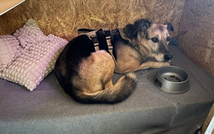 Zbiórka Faktura do opłacenia - zdjęcie główne