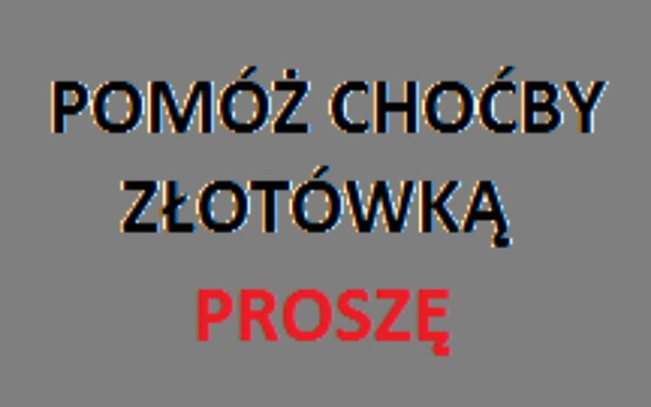 Zbiórka Na życie ... - zdjęcie główne