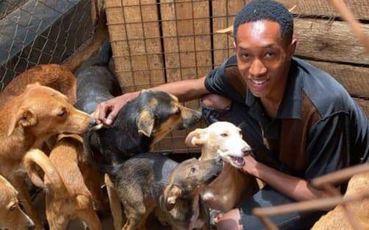 Mężczyzna w towarzystwie wielu psów, uśmiechający się do kamery.