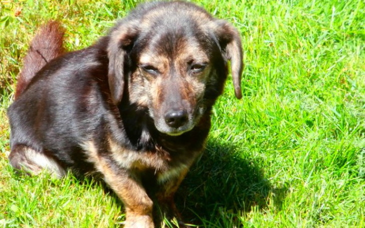 Zbiórka Asanka i Atisa zbierają na hotel - zdjęcie główne