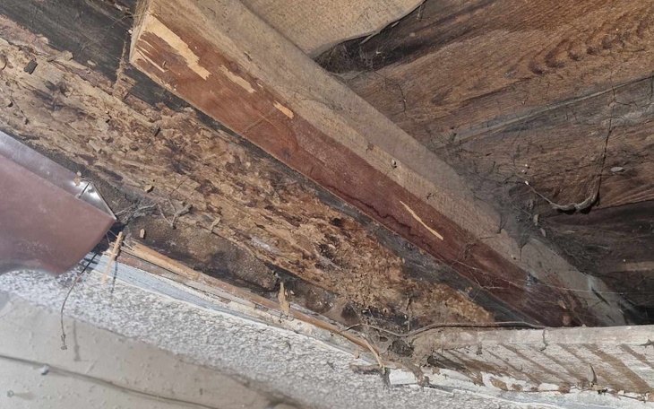 Zniszczone drewno na suficie, z pajęczynami.