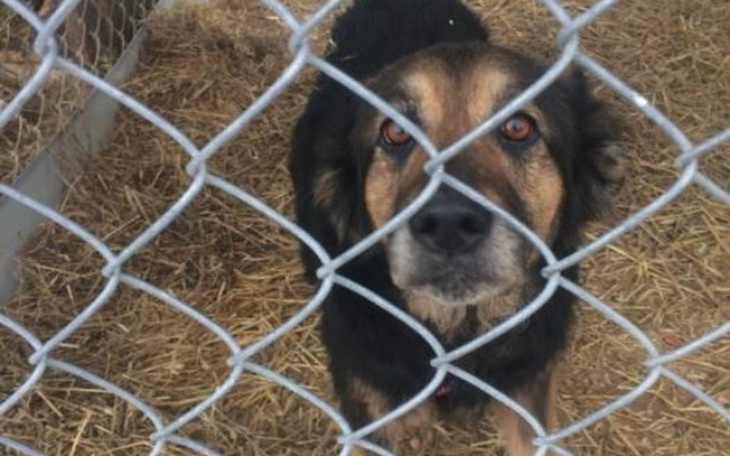 Zbiórka Wyprawka dla Nory - zdjęcie główne