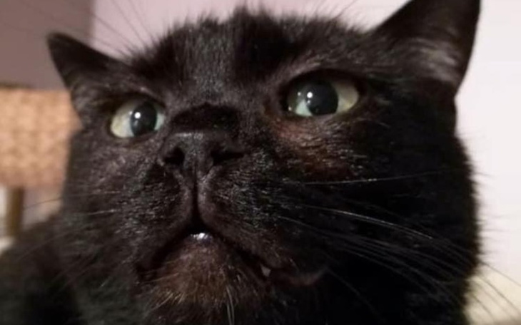 Zbiórka Moni - zdjęcie główne