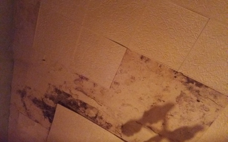 Zbiórka Prawdziwy dom - zdjęcie główne