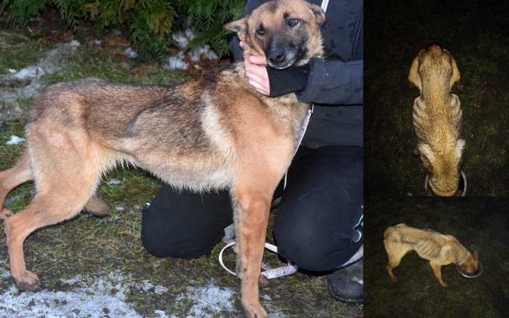 Zbiórka Greta - walczymy o każdy dzień - zdjęcie główne